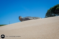 AWT-DAY-8-5706.jpg